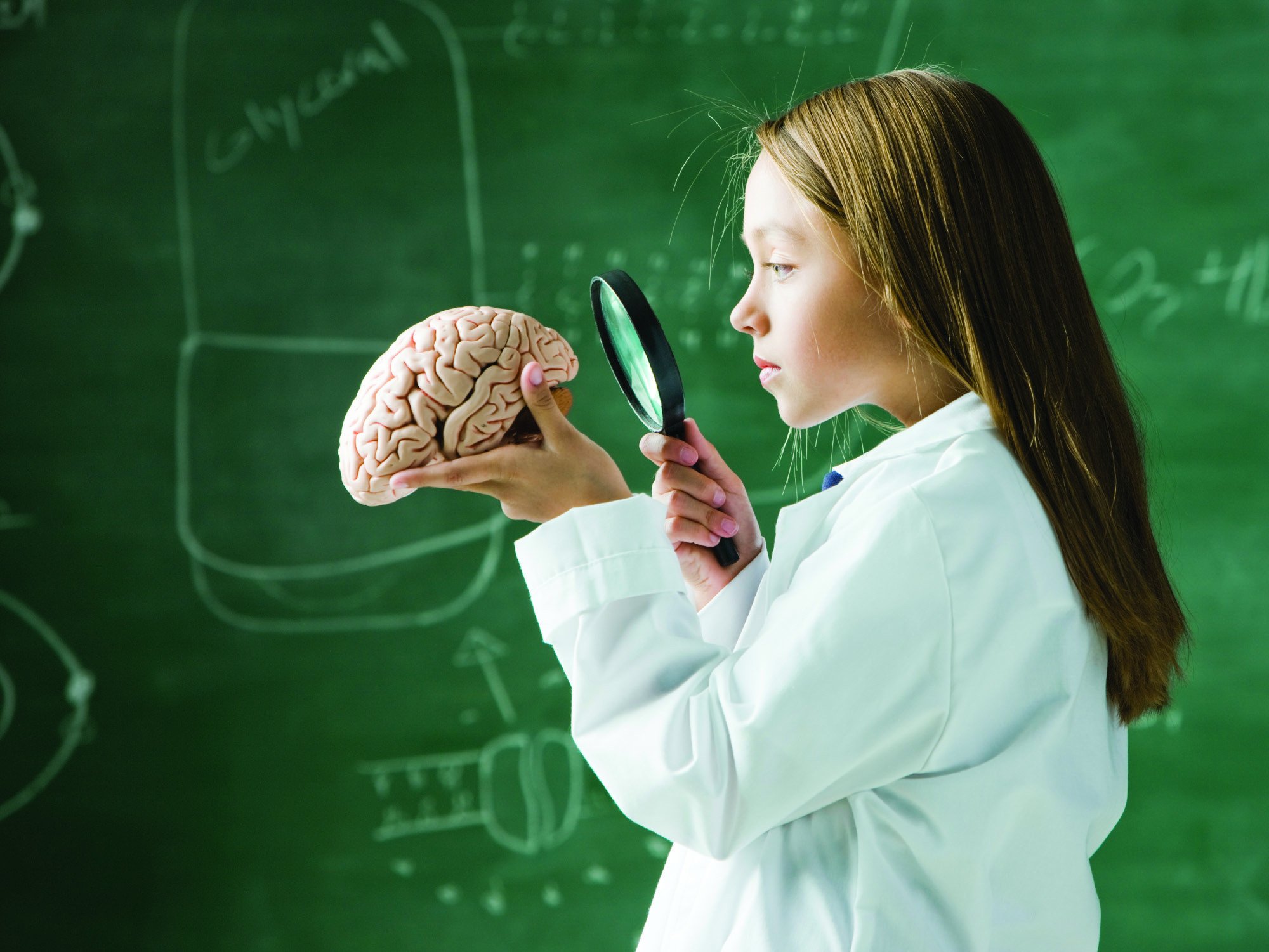 Как научить мозг учиться? Татьяна Черниговская